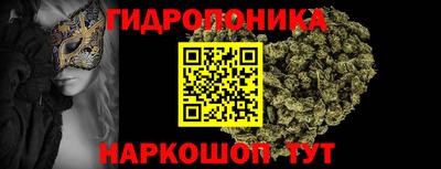 ECSTASY Малгобек