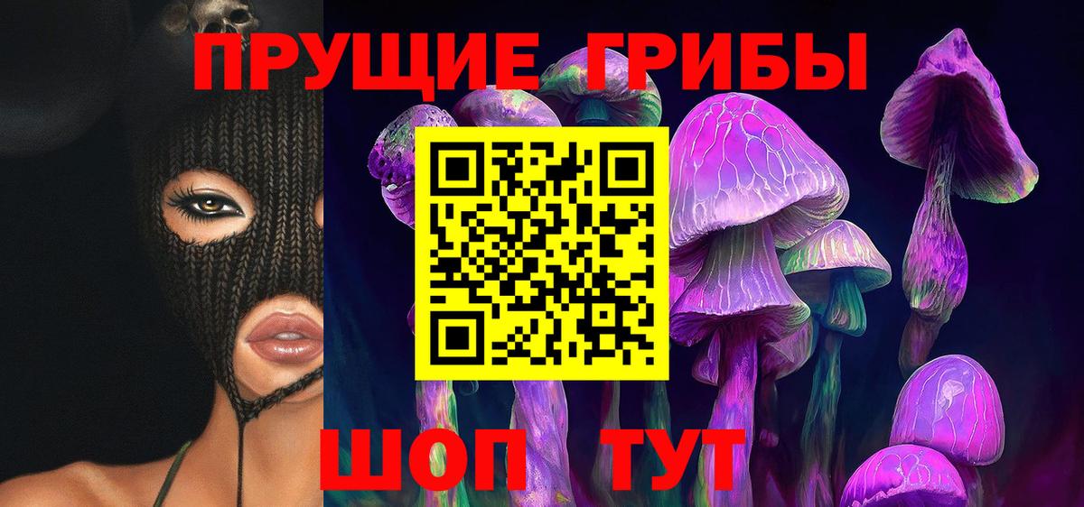 Галлюциногенные грибы Psilocybe Ухта